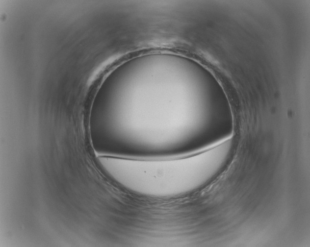 X0000070431214200606090954