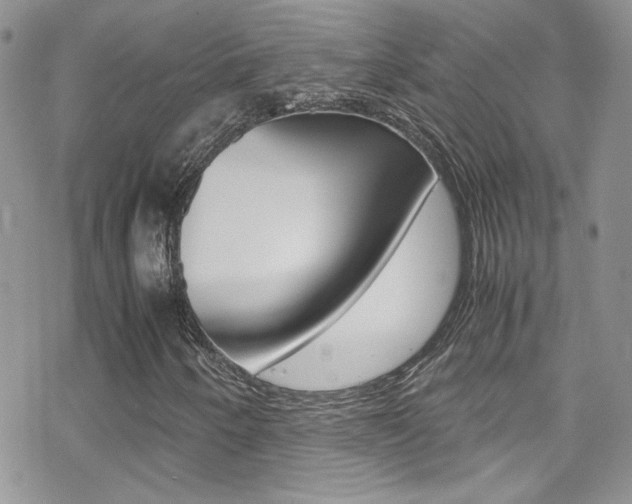 X0000070431250200606090954