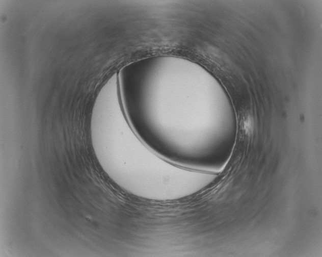 X0000070431252200606090954