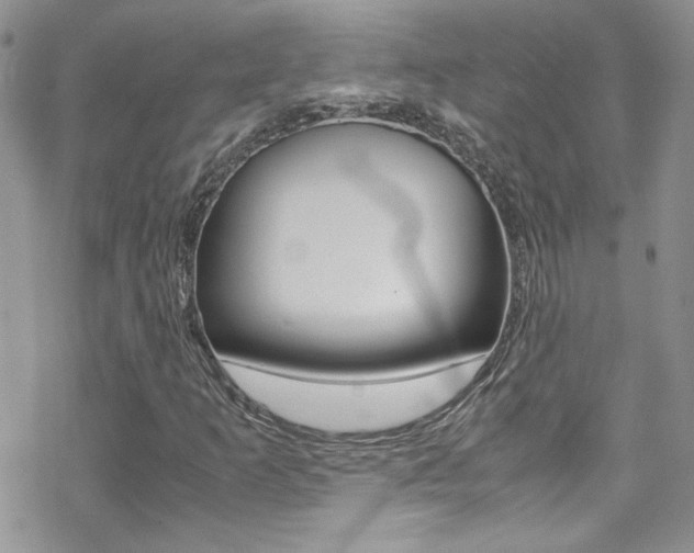 X0000070431253200606090954