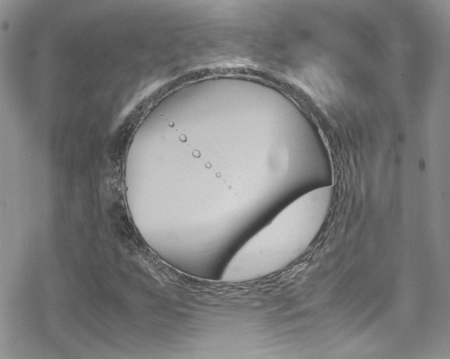 X0000070431255200606090954