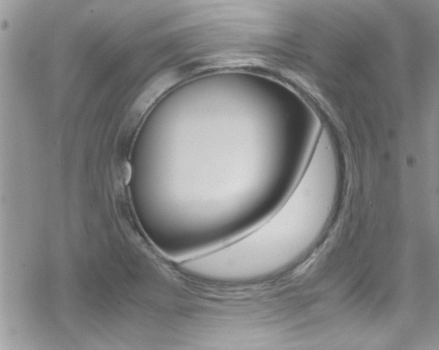 X0000070431273200606090954