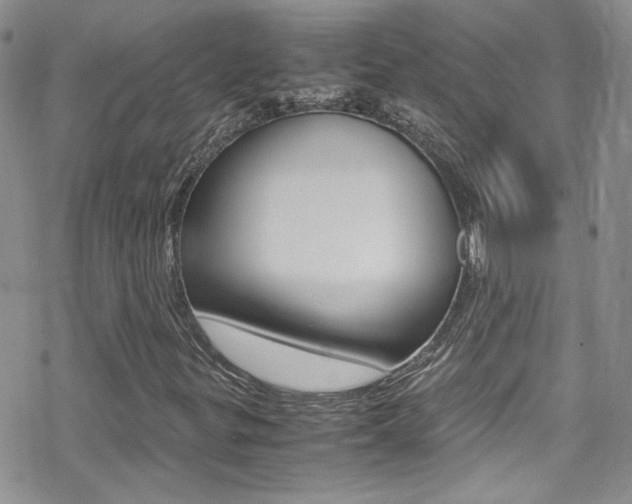 X0000070431299200606090953