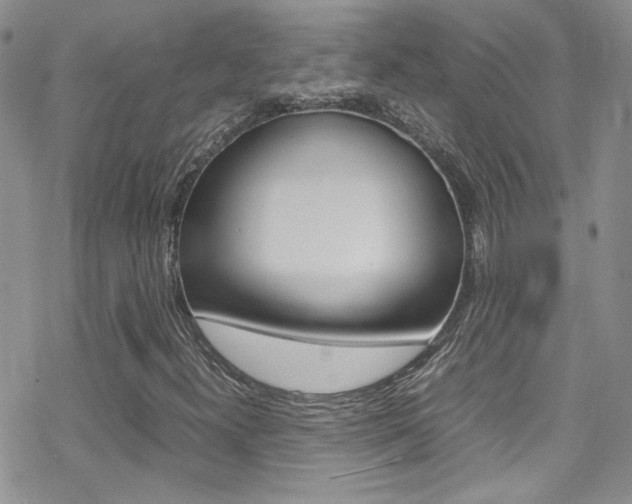 X0000070431300200606090953