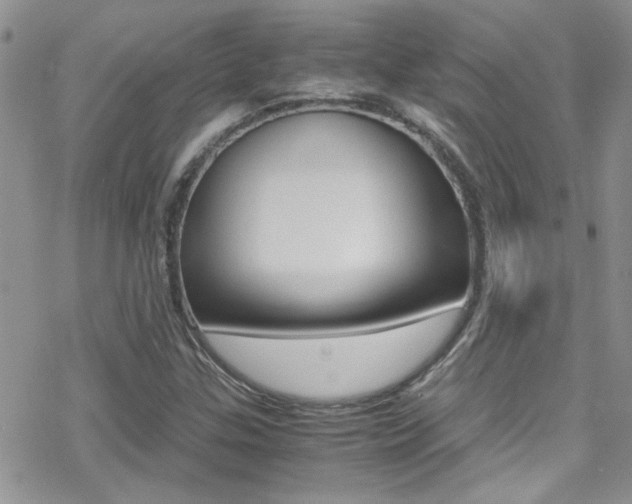 X0000070431307200606090953