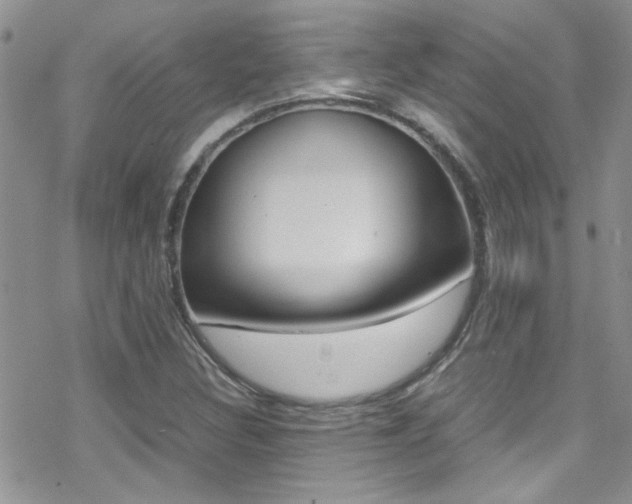 X0000070431308200606090953