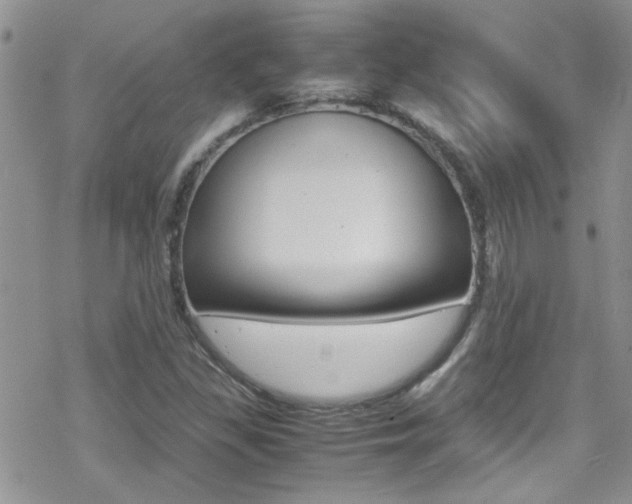 X0000070431309200606090953