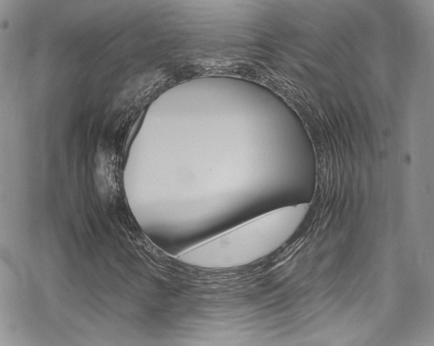 X0000070431346200606090953