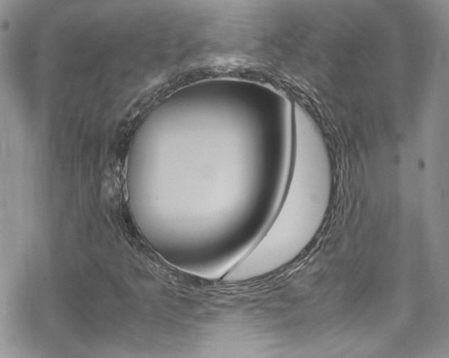 X0000070431349200606090953