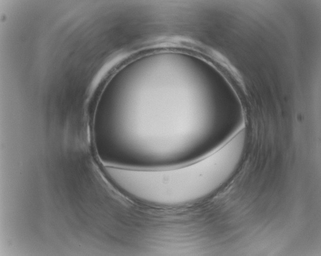 X0000070431368200606090952