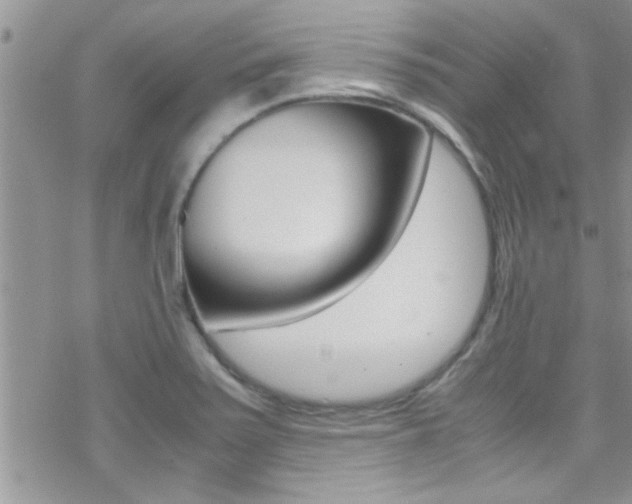X0000070431371200606090952