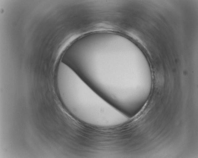 X0000070431415200606090951