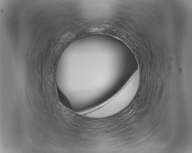 X0000070431441200606090951