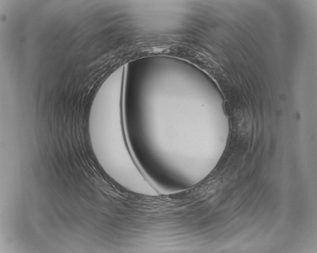 X0000070431442200606090951