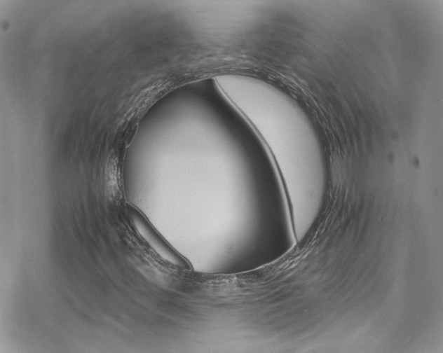 X0000070431444200606090951