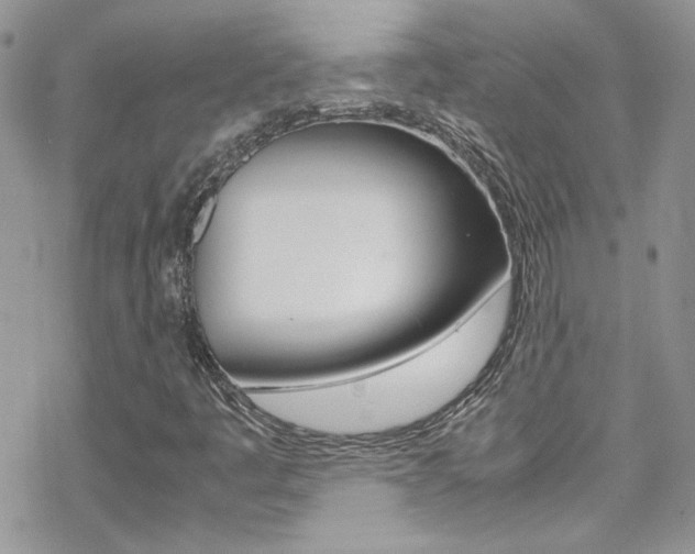 X0000070431445200606090951