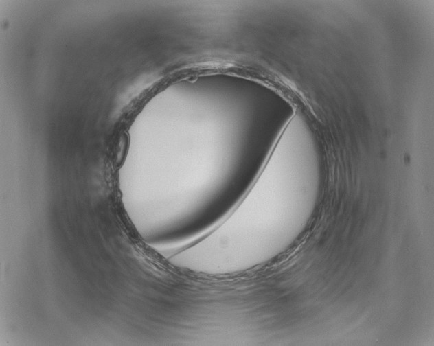 X0000070431448200606090951
