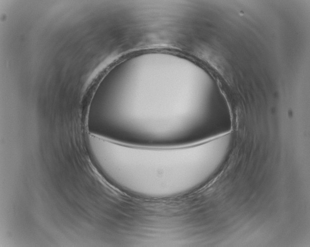 X0000070431452200606090951