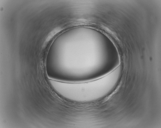 X0000070431453200606090951