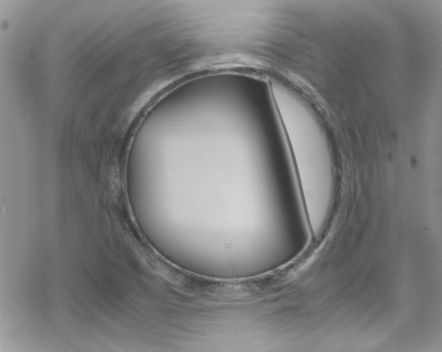X0000070431457200606090951