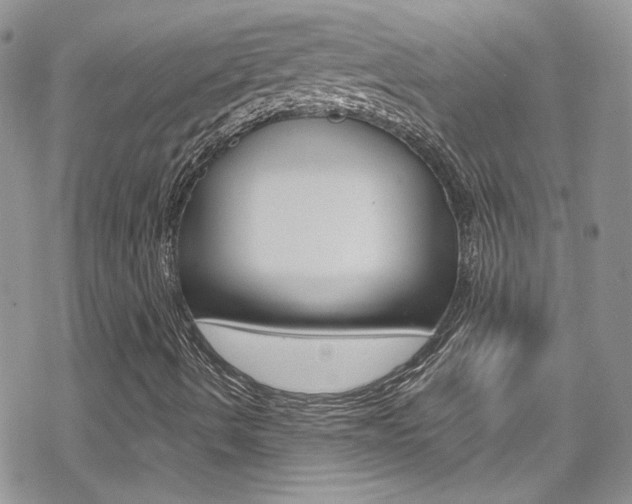 X0000070431490200606090950