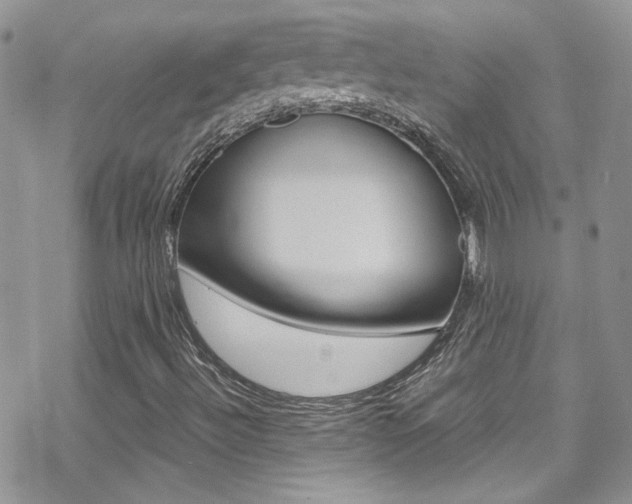X0000070431492200606090950