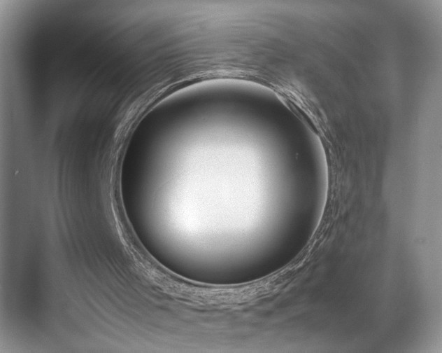 X0000070430001200606091316