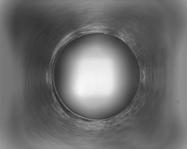 X0000070430004200606091316