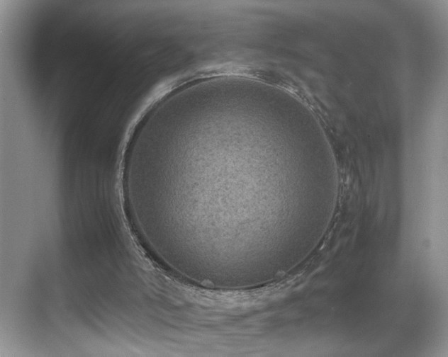 X0000070430006200606091316