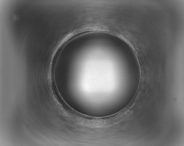 X0000070430008200606091316