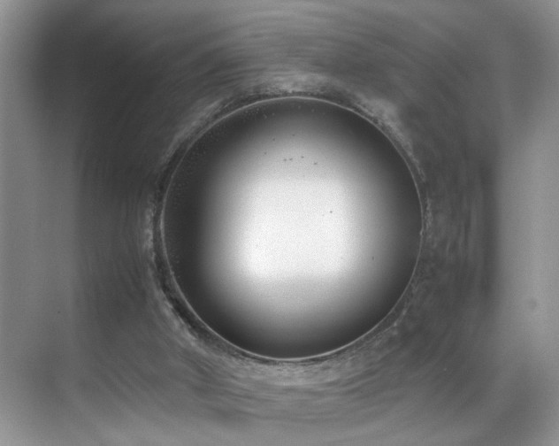 X0000070430010200606091316