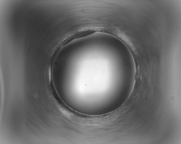 X0000070430013200606091316