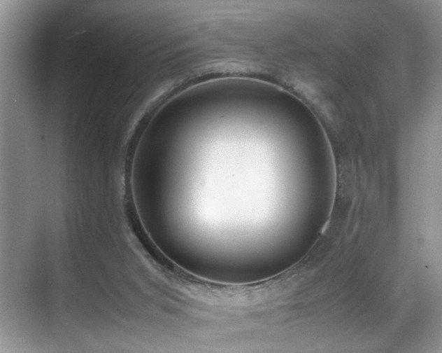 X0000070430015200606091316