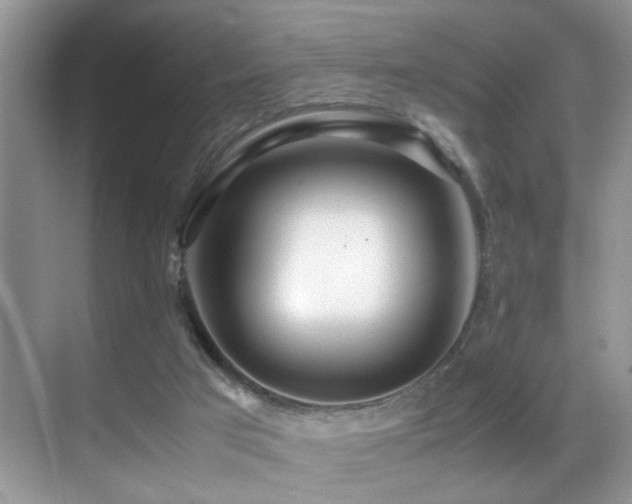 X0000070430017200606091316