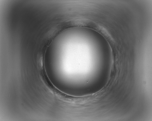 X0000070430021200606091316