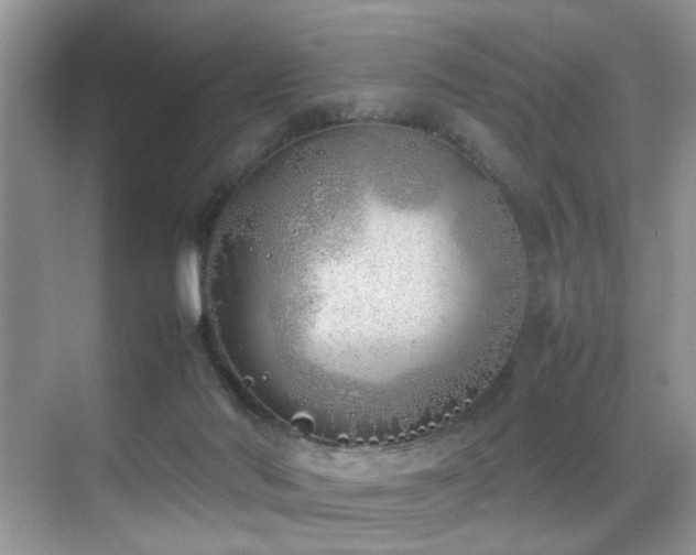 X0000070430022200606091316