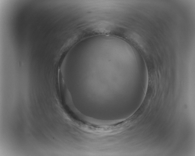 X0000070430023200606091316
