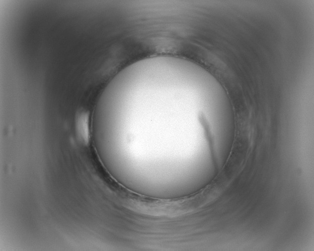X0000070430028200606091316