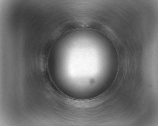 X0000070430030200606091315