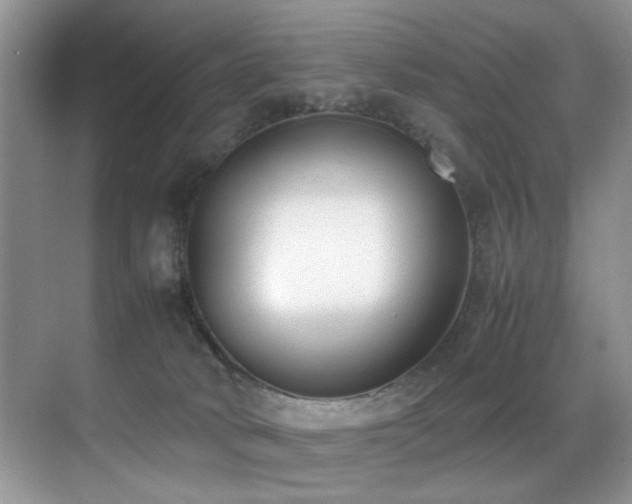 X0000070430034200606091315