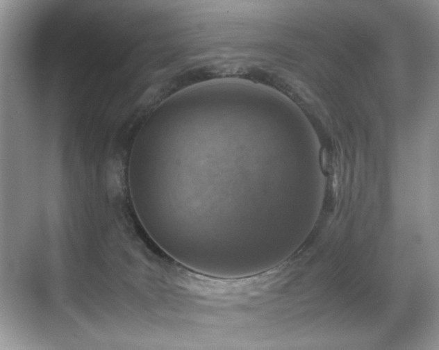 X0000070430035200606091315