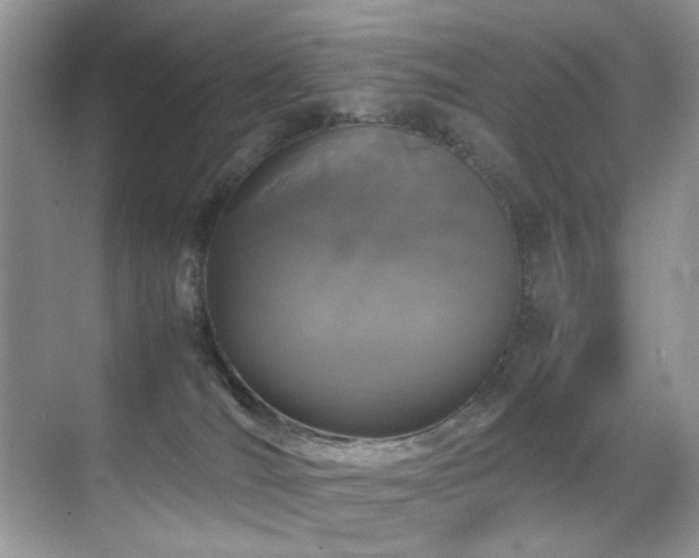 X0000070430036200606091315