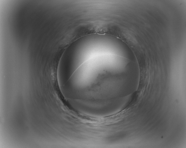 X0000070430039200606091315