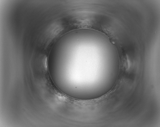X0000070430041200606091315