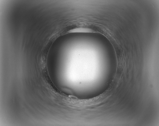 X0000070430043200606091315