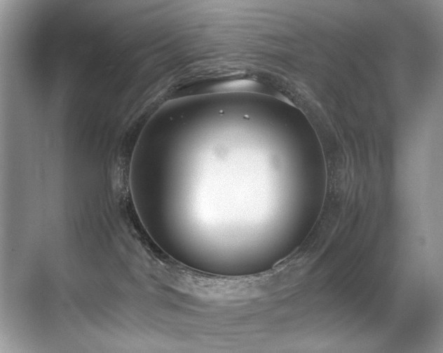 X0000070430044200606091315
