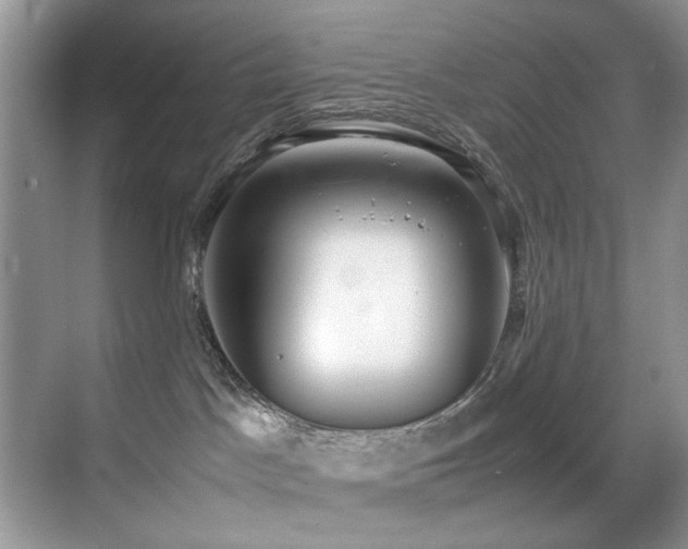 X0000070430045200606091315