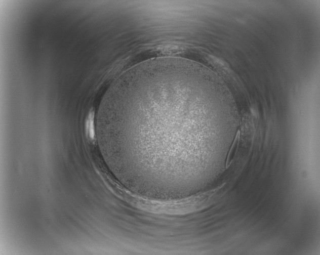 X0000070430046200606091315