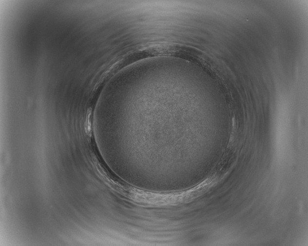 X0000070430048200606091315