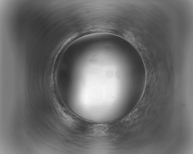 X0000070430050200606091314